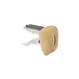 Replacement Genitalia (Complete, Advanced, and Auscultation), Female