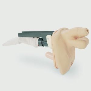 Male Genitals for Basic Geri (Spare Part for W44077)